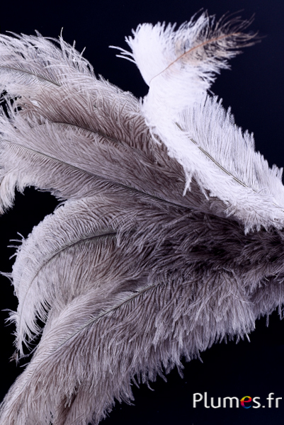 Autruche - 32-42 cm - gris clair-blanc naturel
